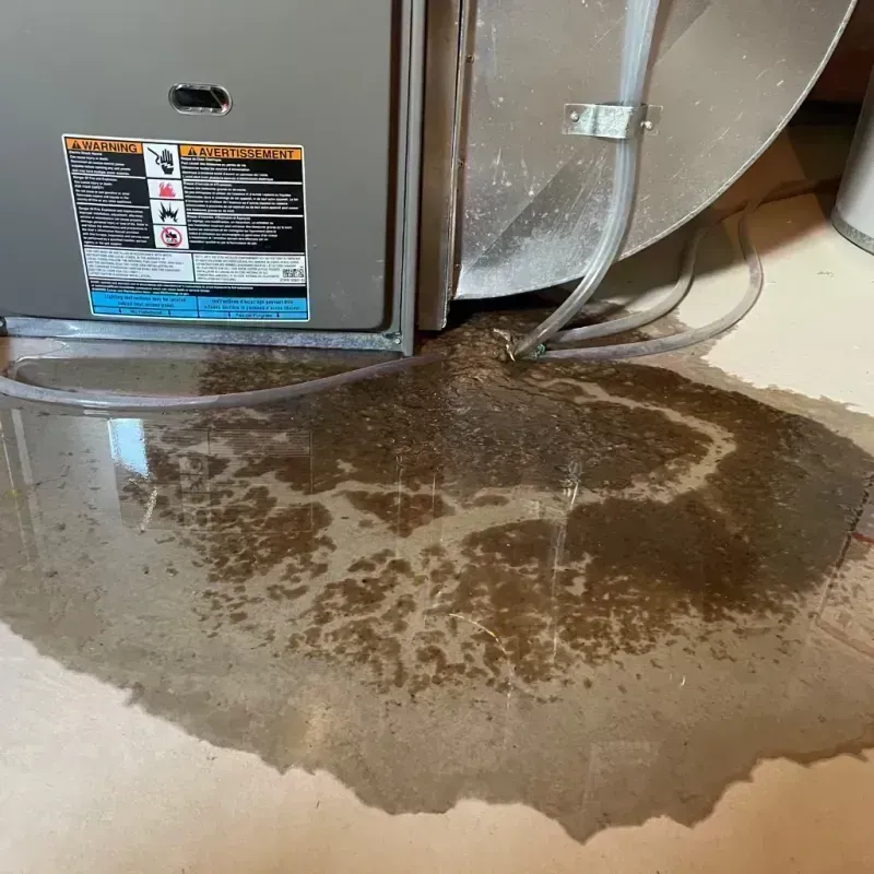 Appliance Leak Cleanup in Bethany, IL